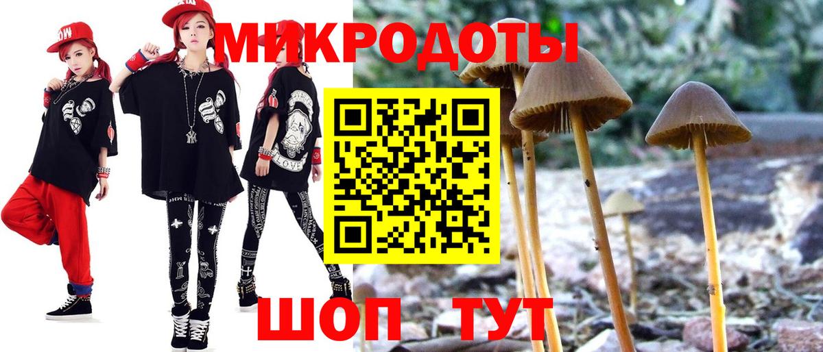 Псилоцибиновые грибы GOLDEN TEACHER Гудермес