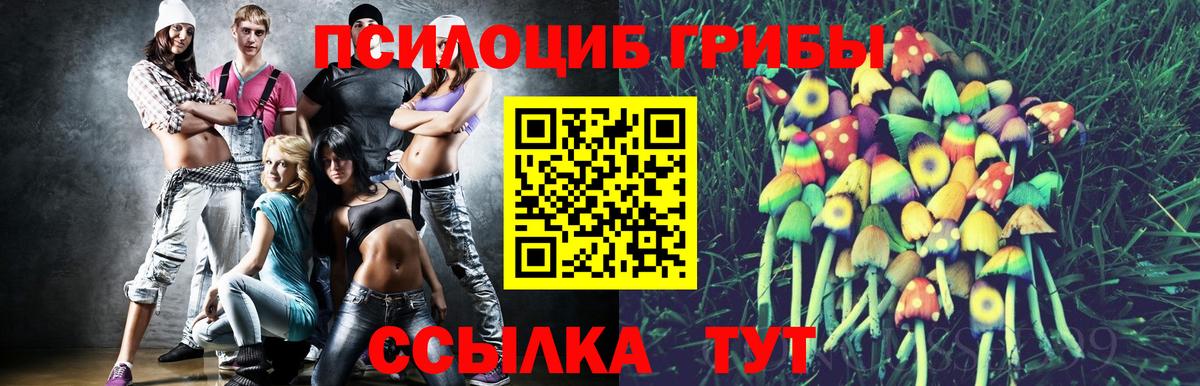 Псилоцибиновые грибы MAGIC MUSHROOMS  Вход с VPN  Псилоцибиновые грибы Psilocybe  цены наркотик  Гудермес 